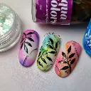 Aletha_Visser (1).webp
