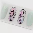 Brenda_van_Tongeren.webp