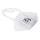 333001_MNS-100_FFP2_Mask_main_800x800.webp