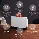 651030_AL-240FL_Aroma_Diffuser_feature_01_800x800.webp