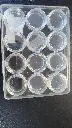20250811_182003.webp