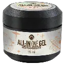 105109 All-In One Gel Silver Sheen.webp