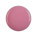 104255.webp