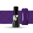 purple_11_1.webp