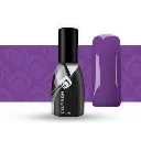 purple_12_1.webp