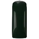 103361 Gelpolish Rainforest