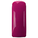 103375 Flaming Fuschia