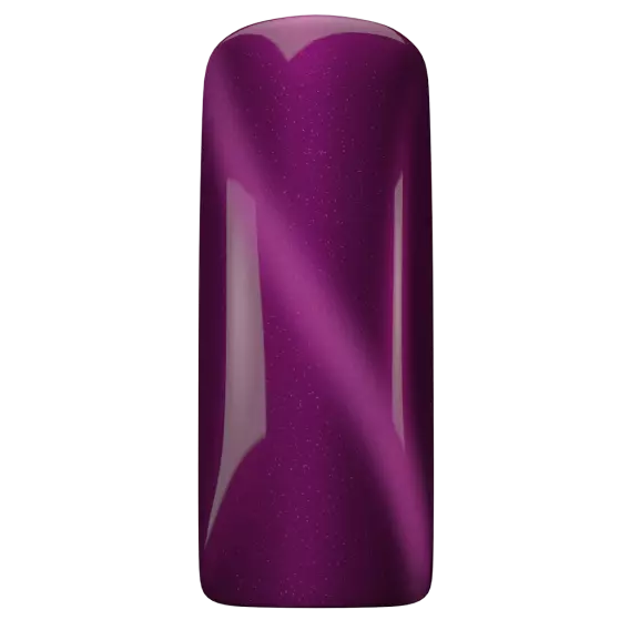 103488  Cat Eye Ametrine