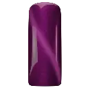 103488  Cat Eye Ametrine