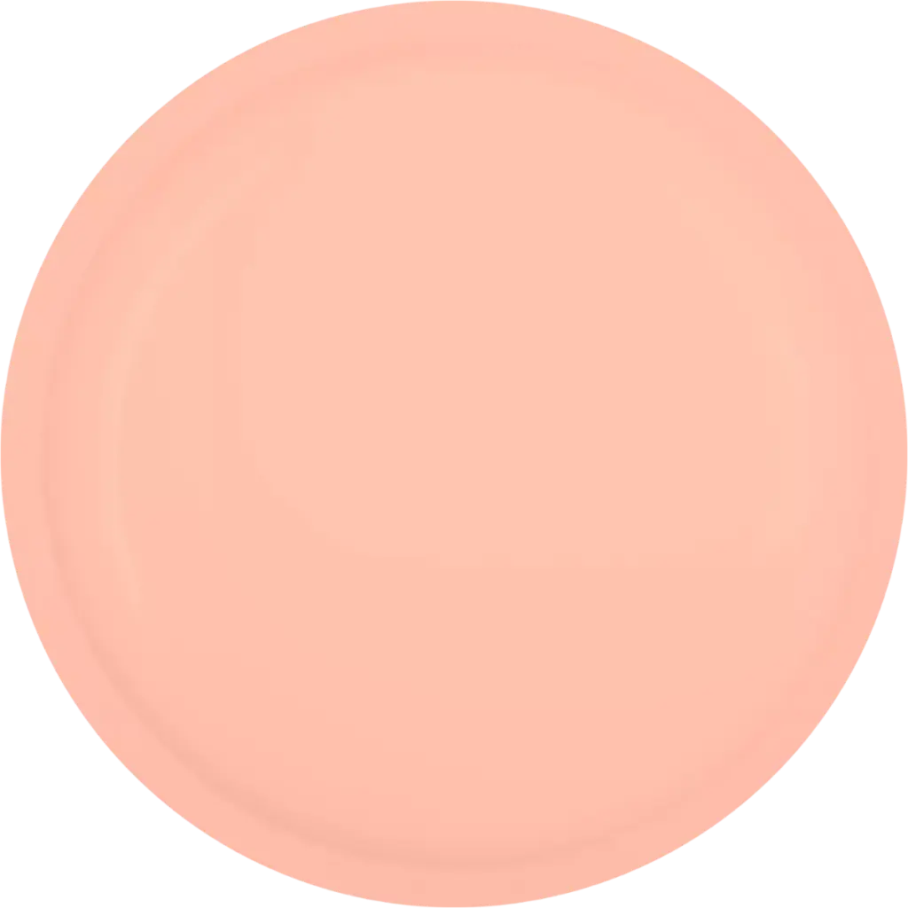 104053  Fiber Gel Blush  peach  5 GR