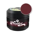 106907 Plasti Gel Burgundy 5g