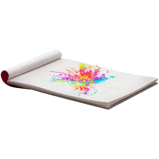 117039  Palet papier 50 st
