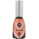 130007  Seal & Protect  15ml.