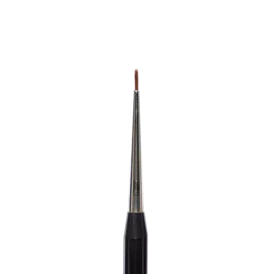 176039  The detailer n 1