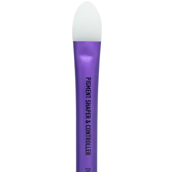 Magnetic Pigment Shaper & Controller Oval 176044 