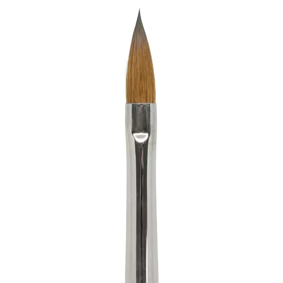 Click On Oval 8 176058 