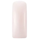 231401 Blushes Dreamy