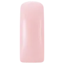 231403 Blushes Lovely