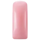 231407 Blushes Attitude