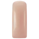 231412  Blushes Fierce