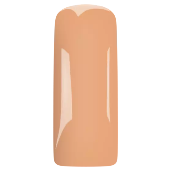 231424 Blushes Chai Latte