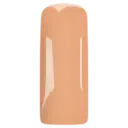 231424 Blushes Chai Latte