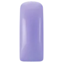 231470 Pastel Blushes Berry