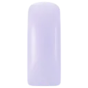 231472 Pastel Blushes Lily