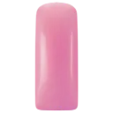 231474  Pastel Blushes Bubbly