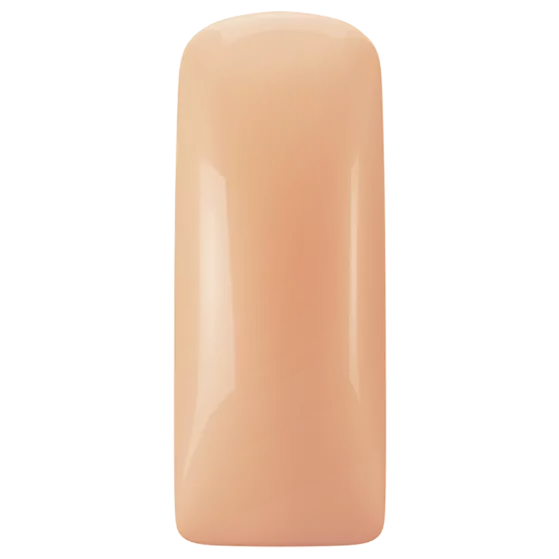 231475  Pastel Blushes Peachy