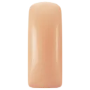 231475  Pastel Blushes Peachy