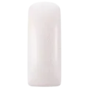 231481  Blush Silvery