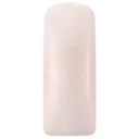 231484 Blushes Jasmin