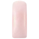 231485 Blushes Peony
