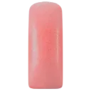 231487 Blushes Popy