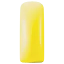 231489 Blushes Neon Yellow