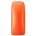 231490 Blushes Neon Orange