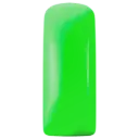 231491 Blushes Neon Green