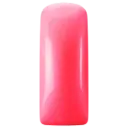 231492  Blushes Neon coral
