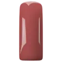 231494 Blushes Plum Blossom
