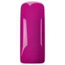 231497  Blushes Bougainville