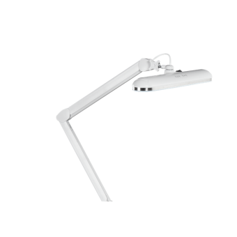 Dual beauty lamp 12 W 