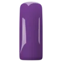 Gelpolish Purple 12  7 ml