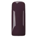 Gelpolish  Purple 13   7ml