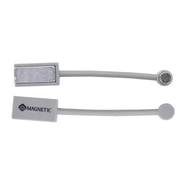 117003 Magnetic Magneet
