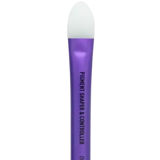176044 Magnetic Pigment Shaper & Controller Oval