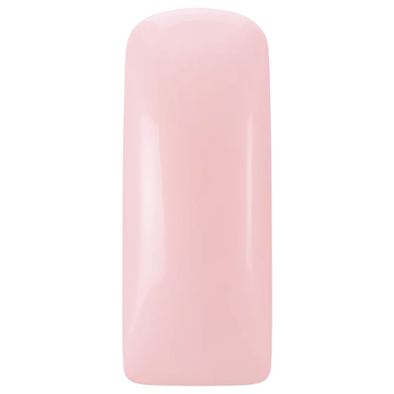 [231403] 231403 Blushes Lovely