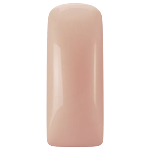 [231412] 231412  Blushes Fierce