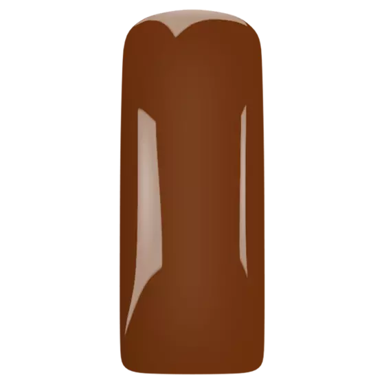 [231420] 231420  Blushes Caramel Macchiato