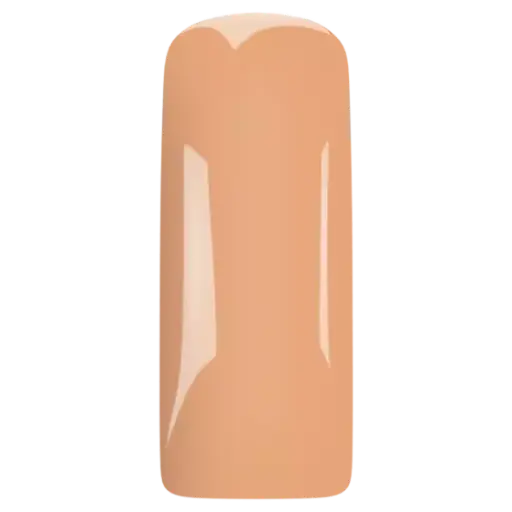 [231424] 231424 Blushes Chai Latte